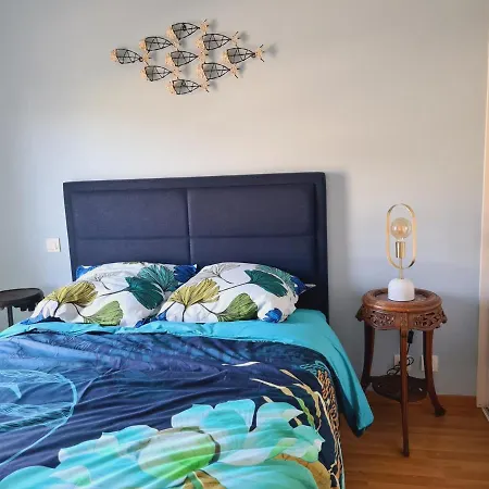 Apartmán Spacieux, Centre Ville, 2 Chambres, Parking, Proche Toutes Commodites - Fr-1-485-122 *