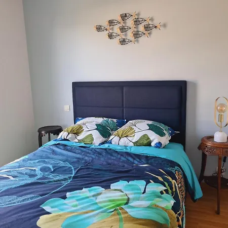 Apartmán Spacieux, Centre Ville, 2 Chambres, Parking, Proche Toutes Commodites - Fr-1-485-122 *